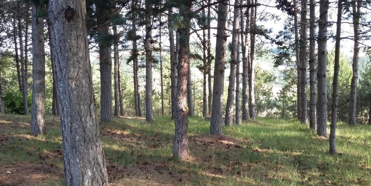 Chalet Ricciano Foligno Zewnętrze zdjęcie