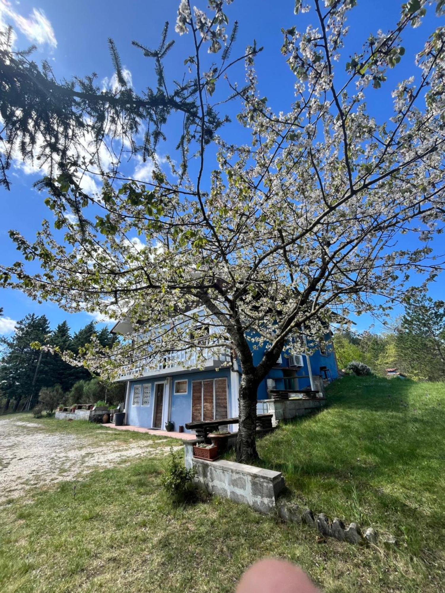Chalet Ricciano Foligno Zewnętrze zdjęcie