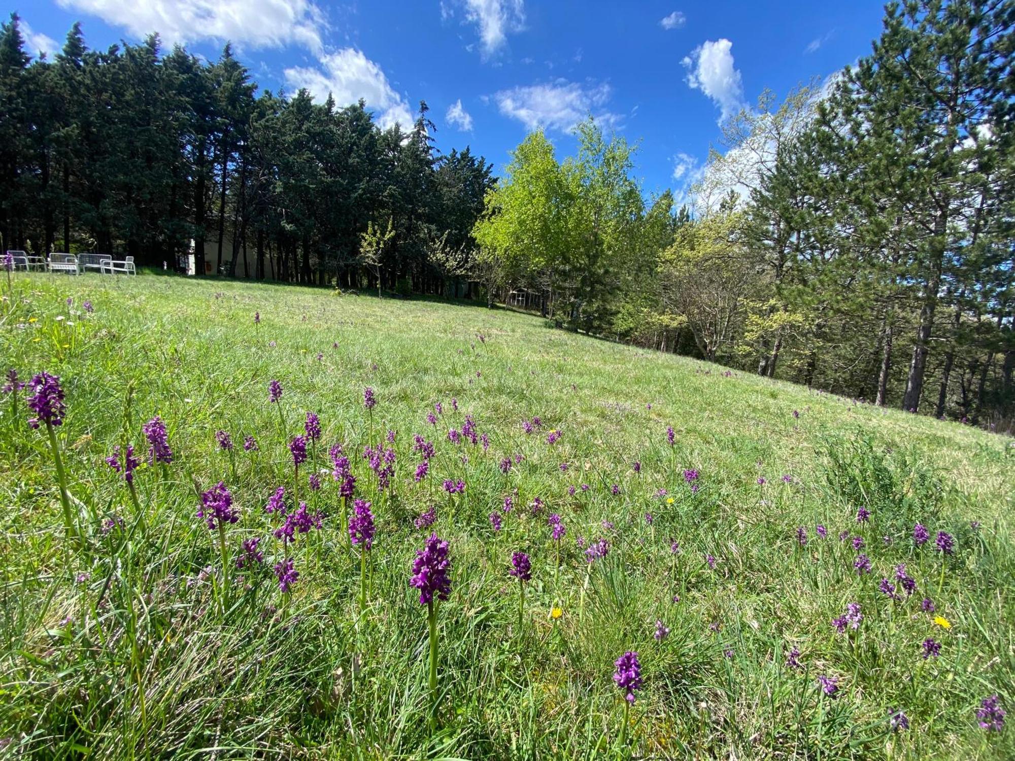 Chalet Ricciano Foligno Zewnętrze zdjęcie